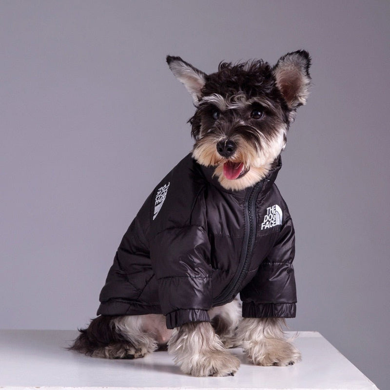 Jaqueta Dog Rocky™ | Roupa Para Cachorro